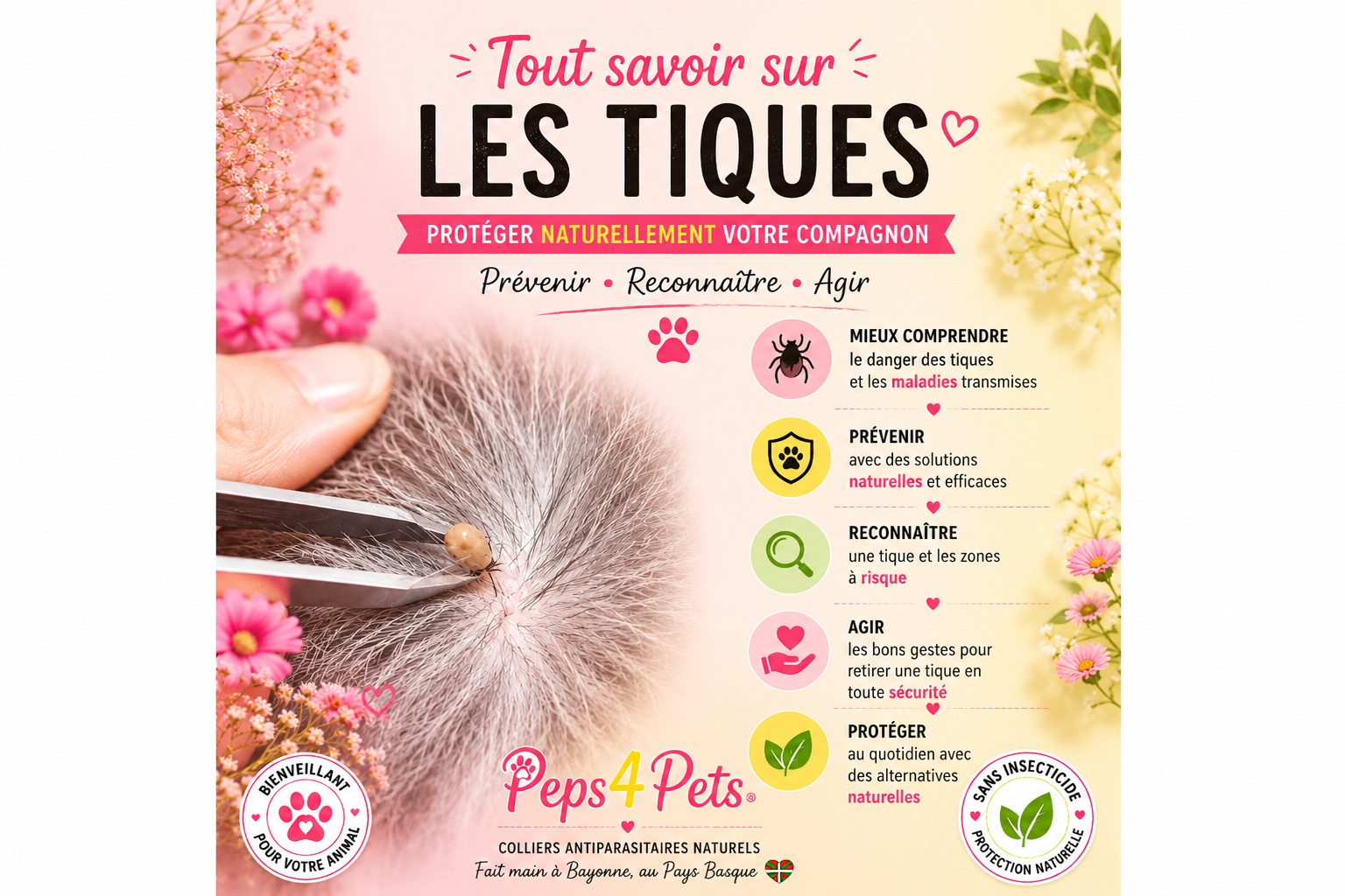 Illustration Peps4Pets® sur les tiques chez le chien. Chien en promenade portant un collier antiparasitaire naturel avec perles céramiques EM®. Guide complet sur le cycle de vie des tiques, leurs dangers, les maladies qu'elles transmettent et les solutions de prévention.
