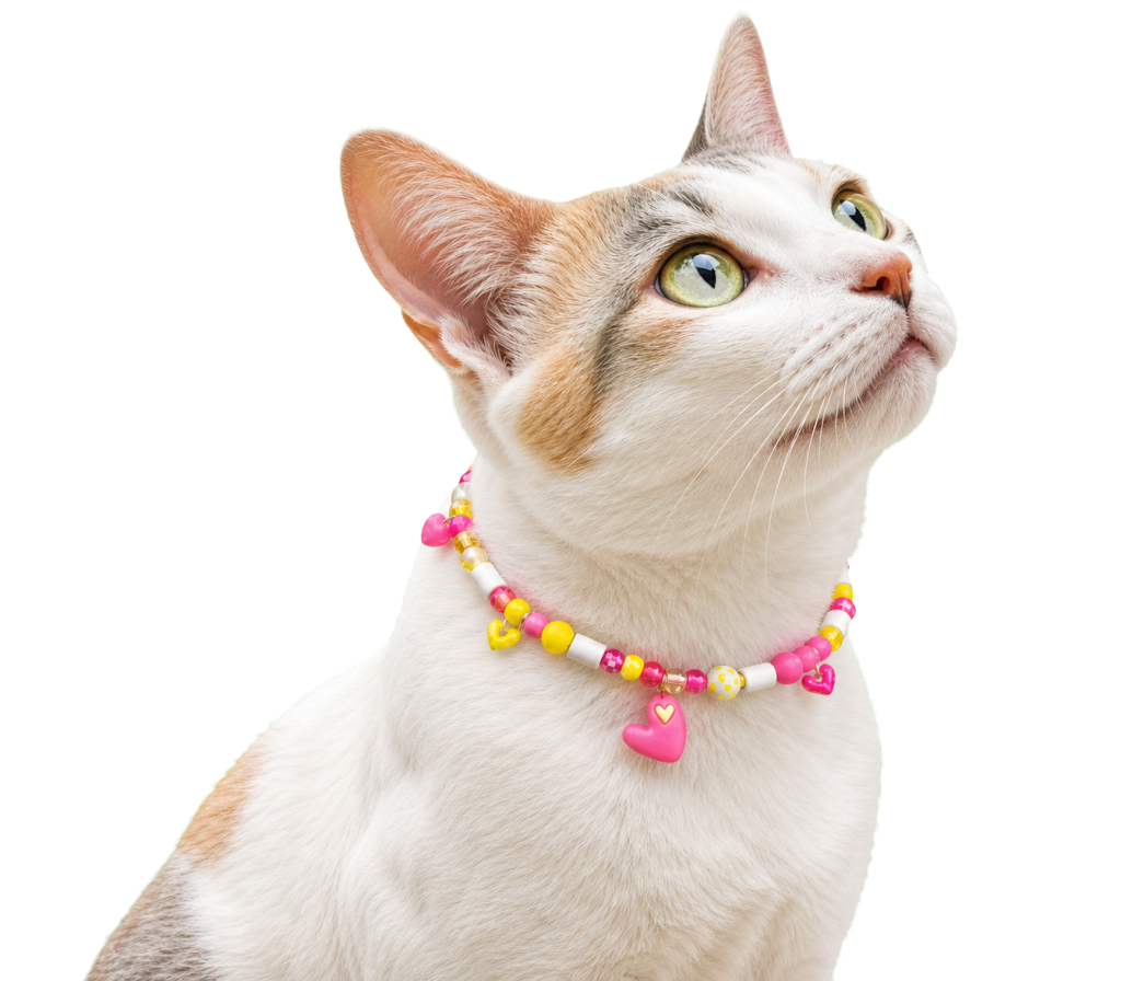 Chat avec un collier Peps anti tique